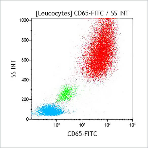 B36299_CD65-FITC, 88H7, 100 Tests, CE